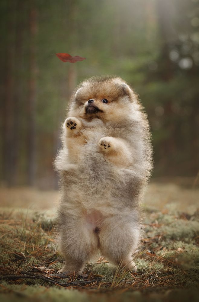 Photograph by Ольга Легенькая