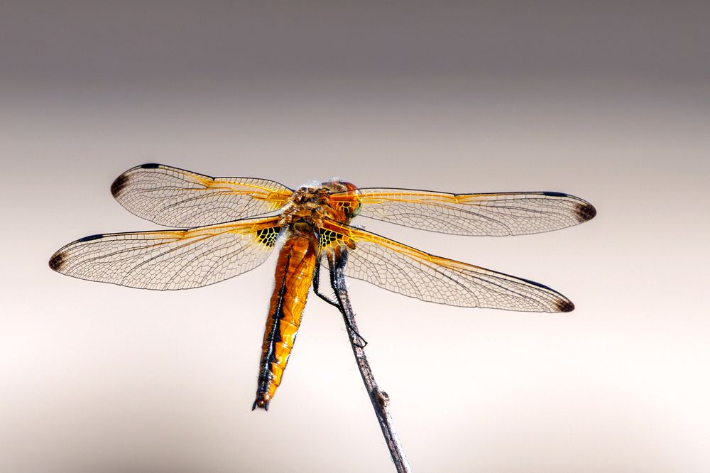 Photograph by Старых Сергей