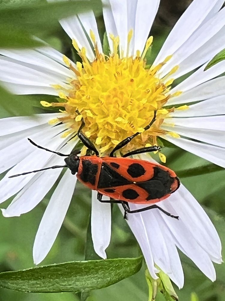 Photograph by Мария Халуторных