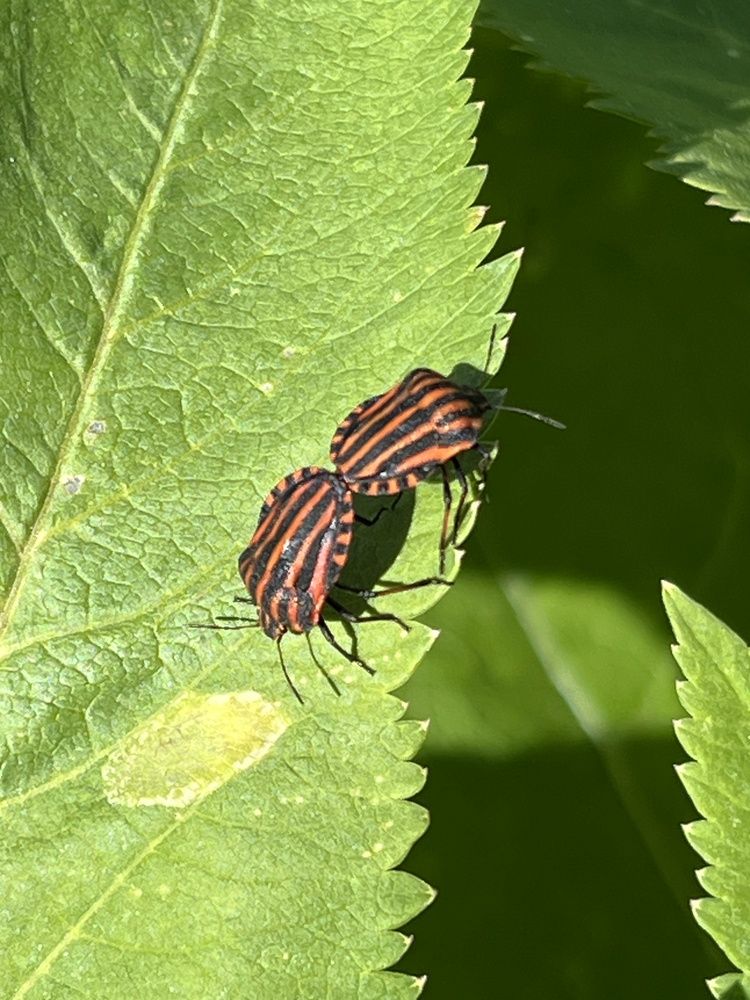 Photograph by Мария Халуторных