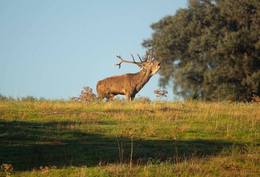 Photograph by alvaro berben marin