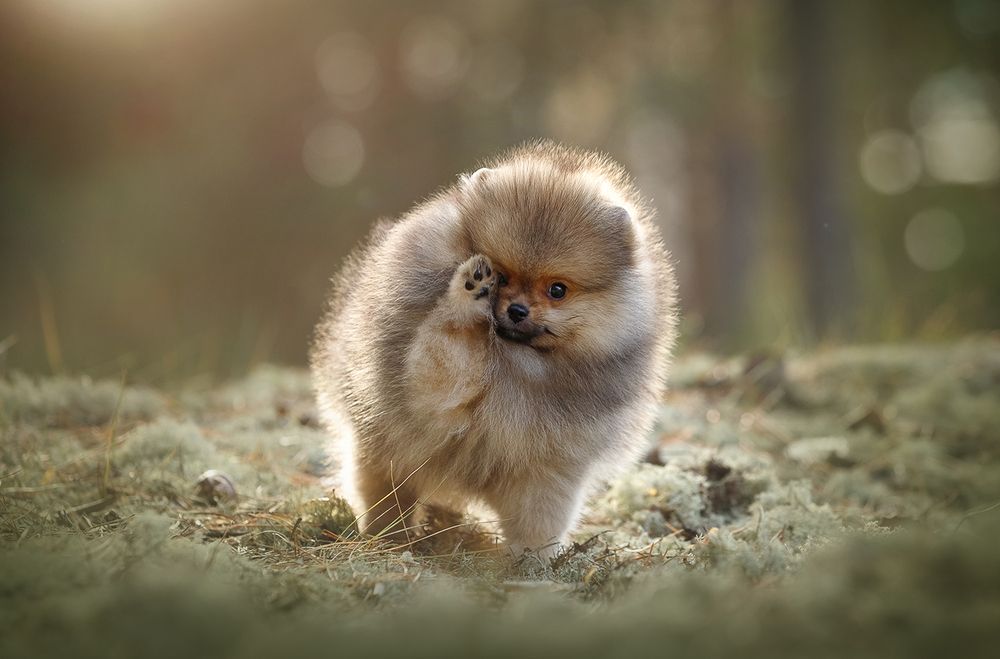 Photograph by Ольга Легенькая