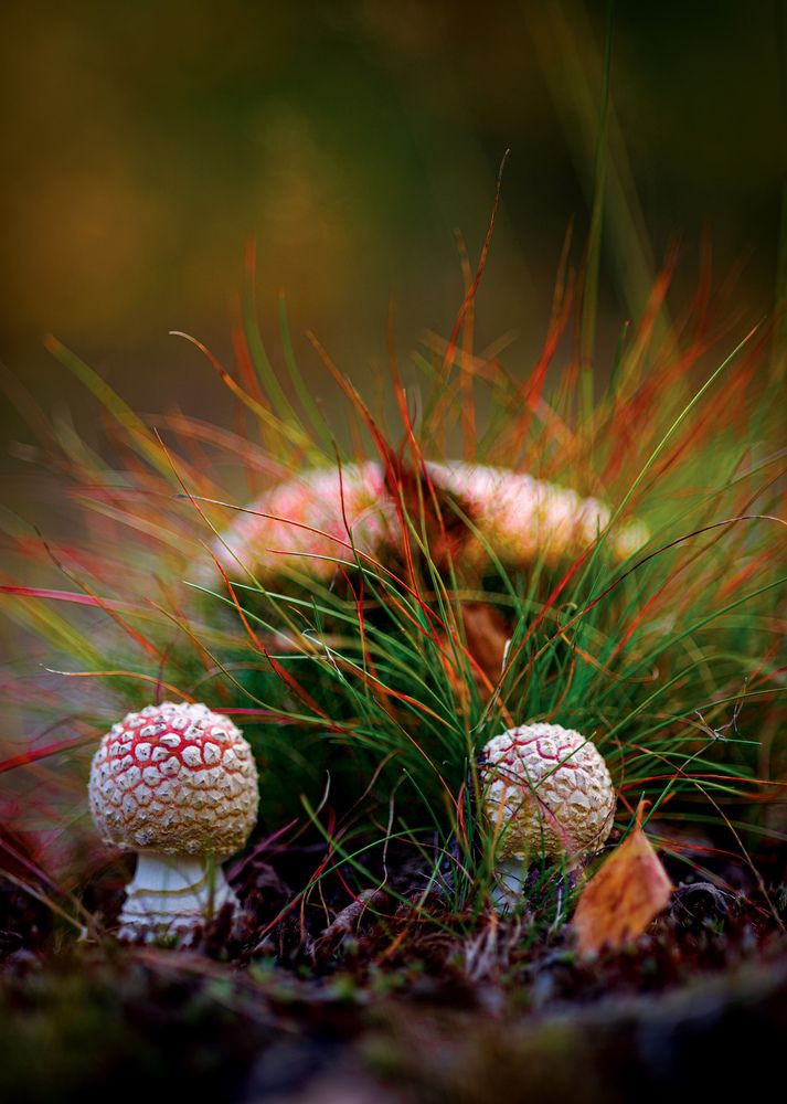 Photograph by Толяныч