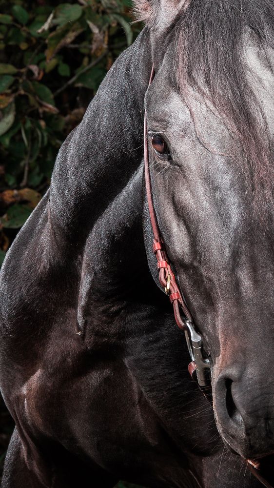 Photograph by Alena Zokinatif Kozlova