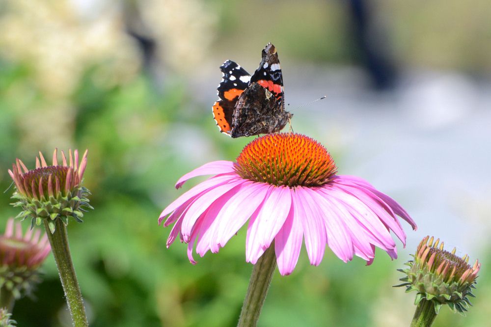 Photograph by Фарит Зиатдинов