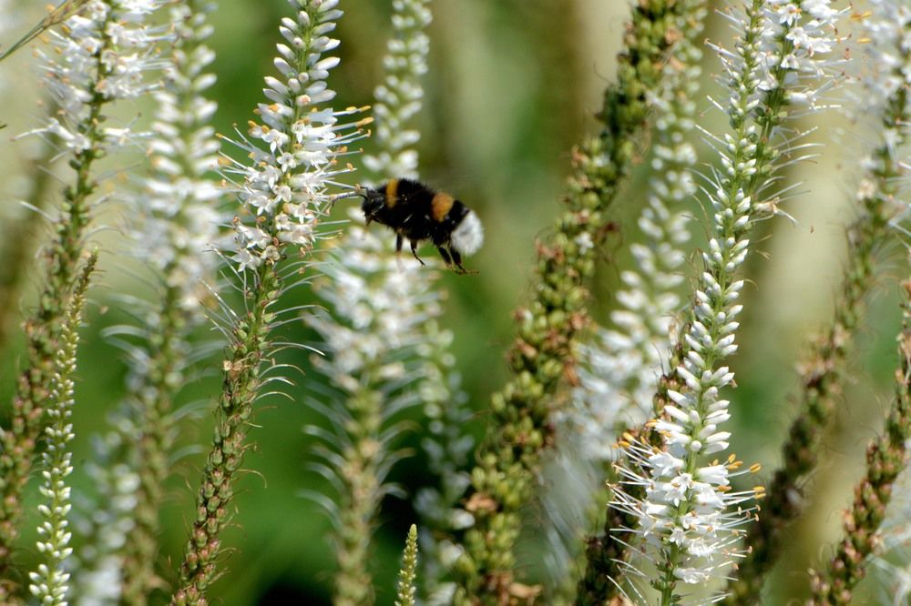 Photograph by Фарит Зиатдинов