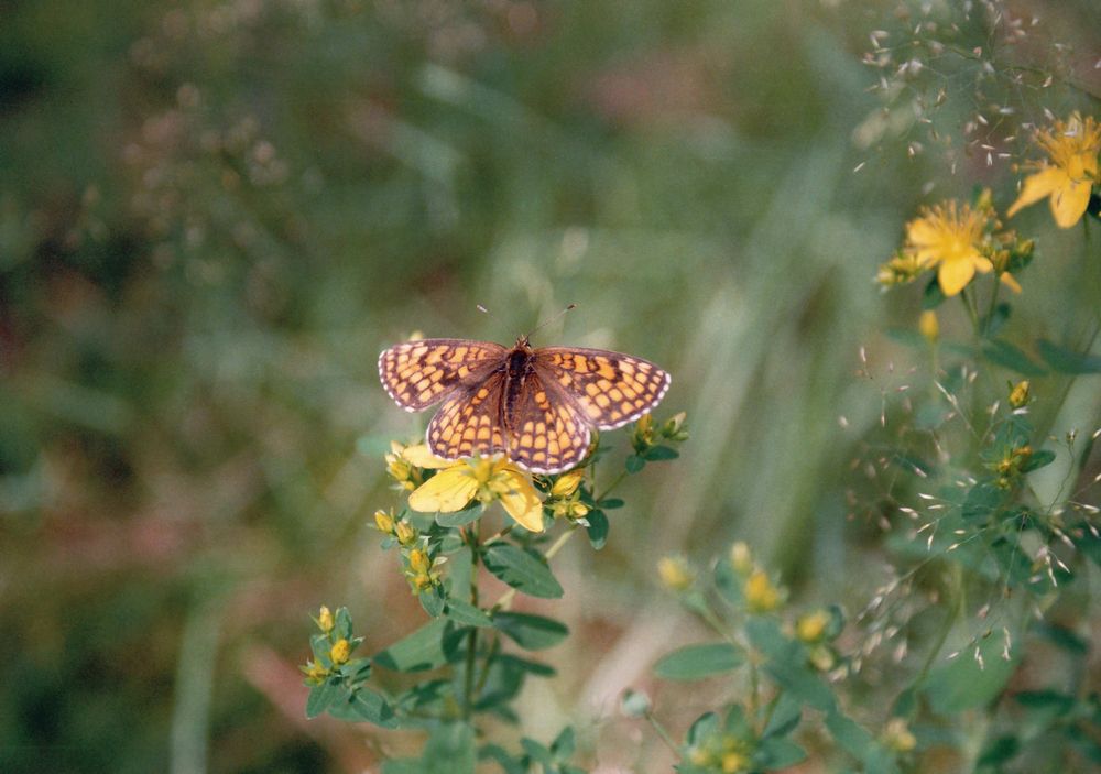 Photograph by Фарит Зиатдинов