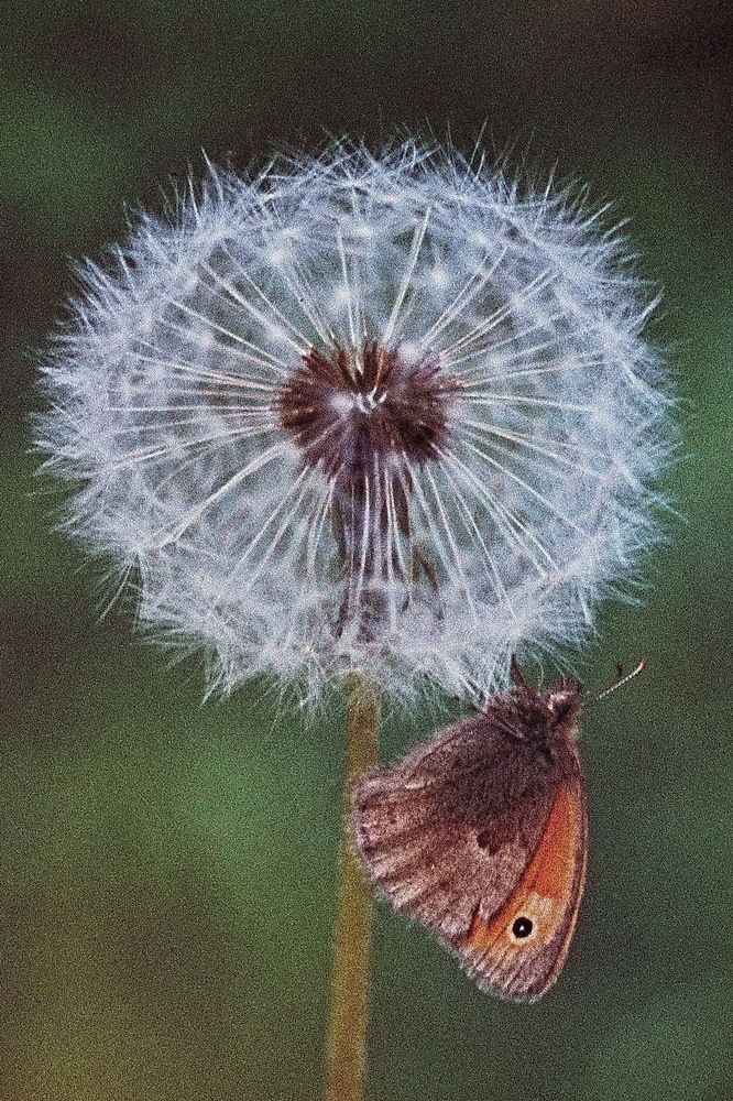 Photograph by Фарит Зиатдинов