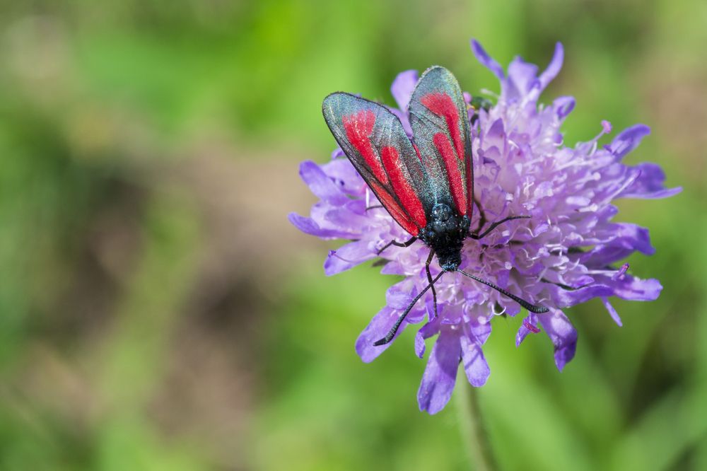Photograph by Сергей Феофанов