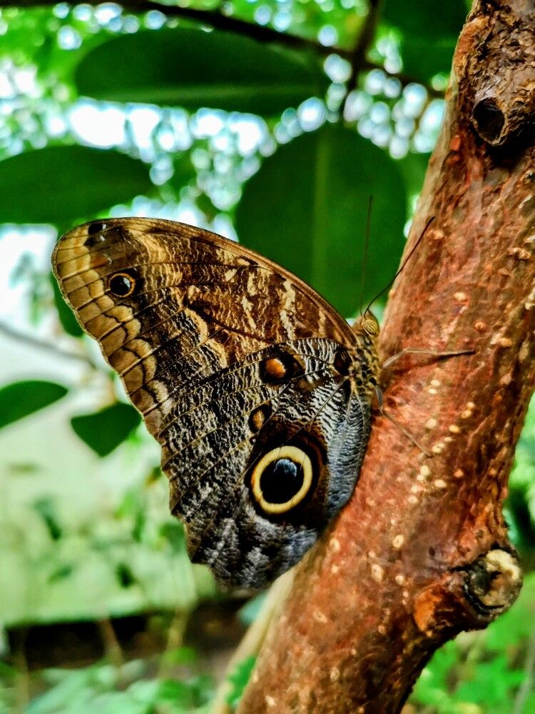 Фотография автора Ian Heard