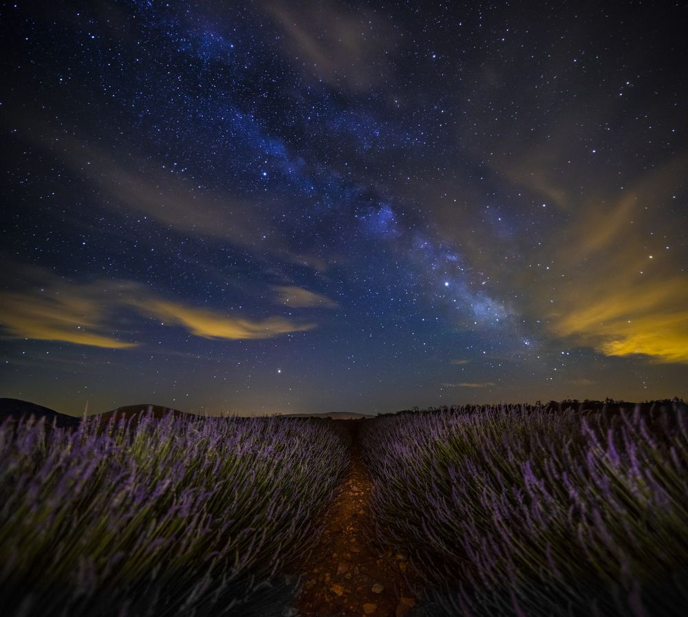 Photograph by Cynthia Hasenbos