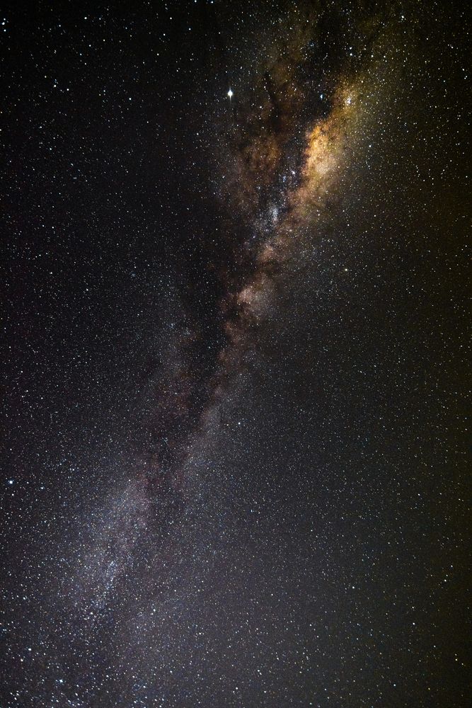 Photograph by Cynthia Hasenbos