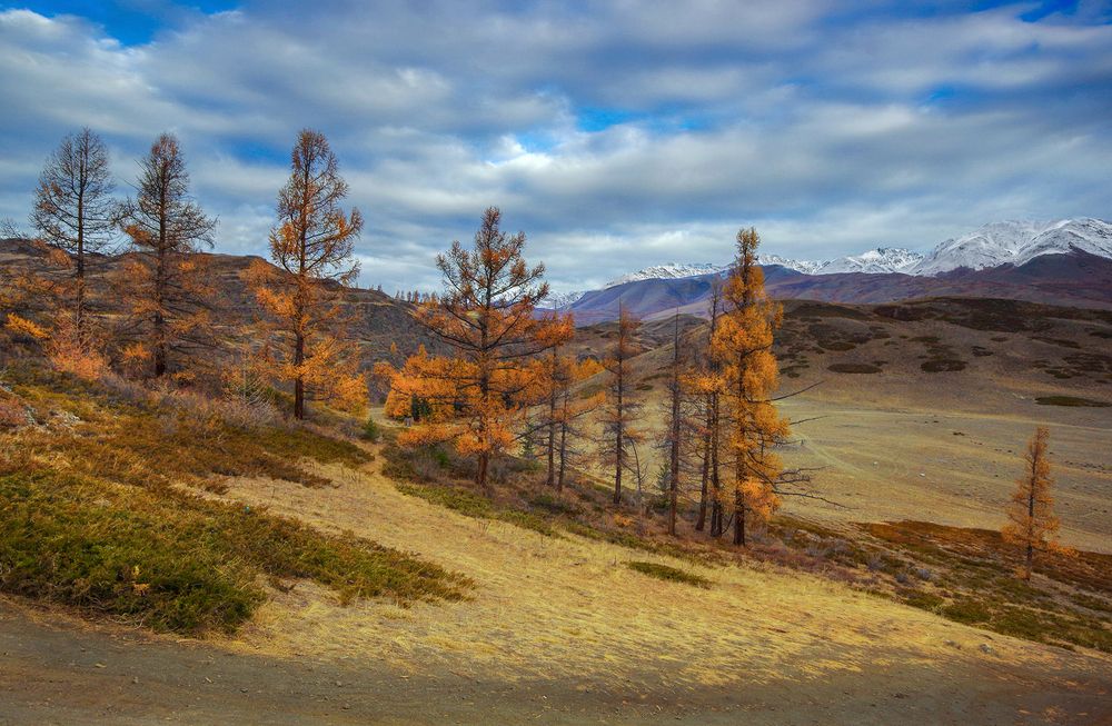 Фотография автора Чичкин Валерий