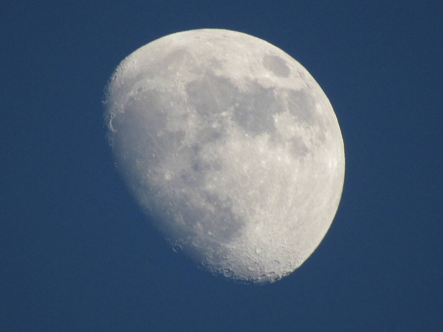 Photo #12043417