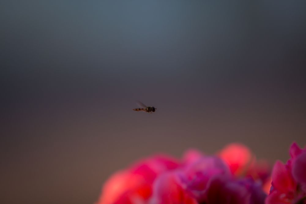 Photograph by Шарпе Станислав