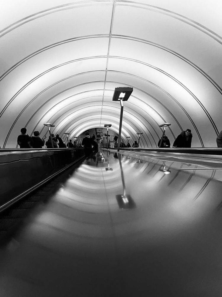 Фотография автора Марина Алексеева