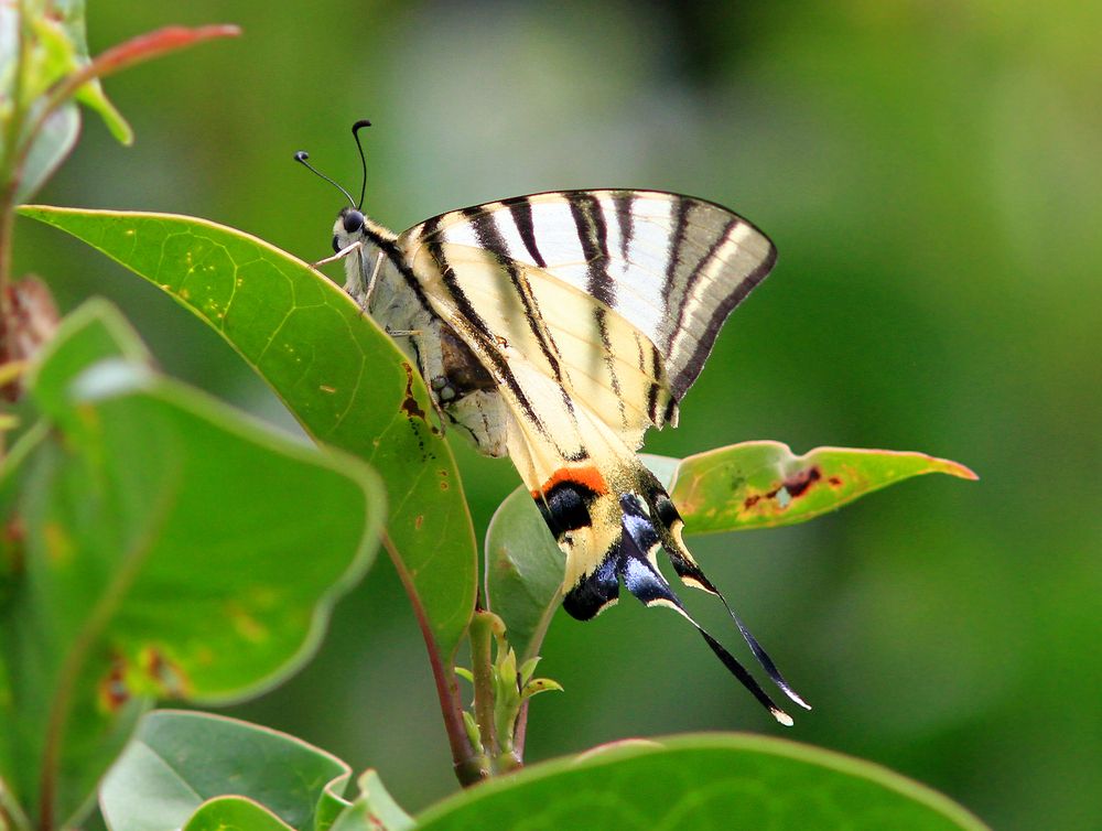 Фотография автора Михаил Крюков