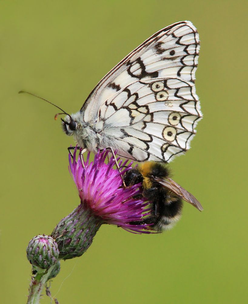 Фотография автора Михаил Крюков