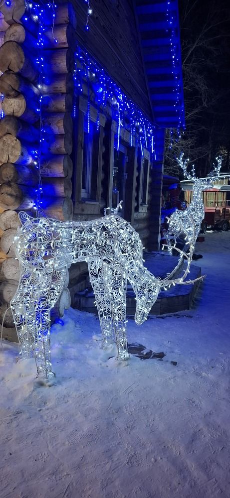 Фотография автора Наталья Шулятина