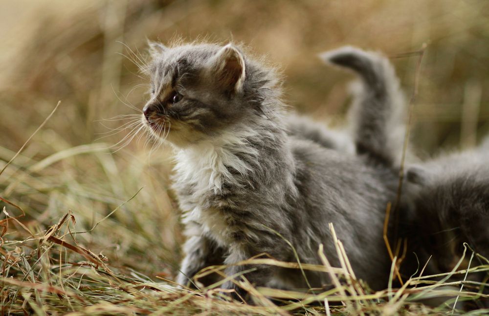 Photograph by POLY DA NOVA