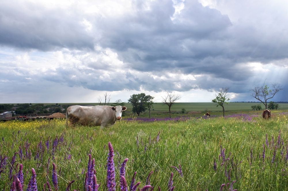 Photograph by Зорин Миша