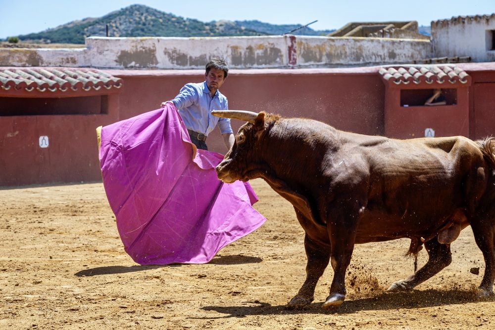 Фотография автора Karim Shokair