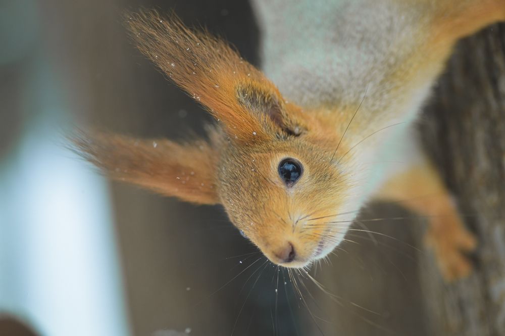 Photograph by Александра Судьбина