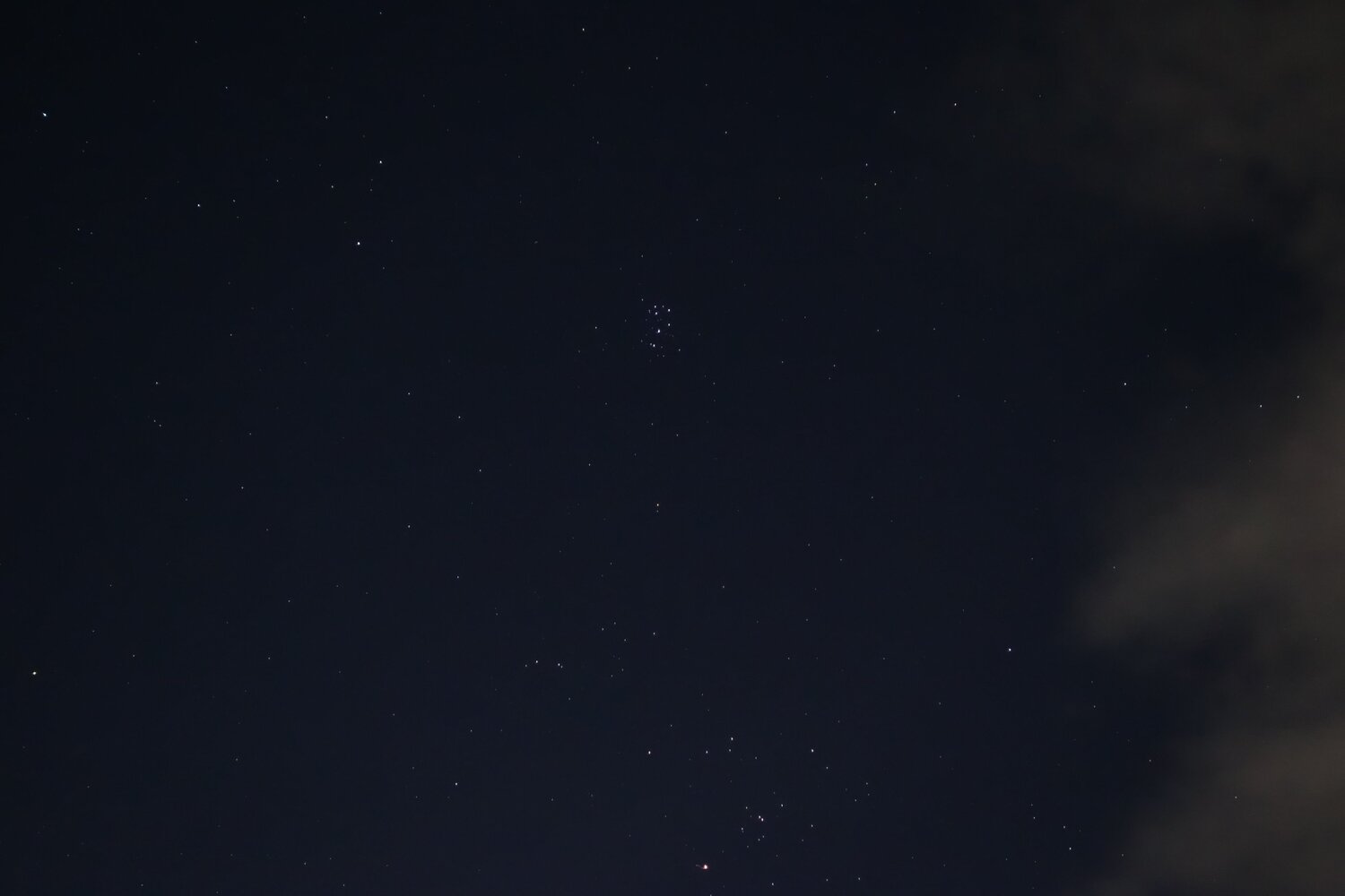 Photo #12043766