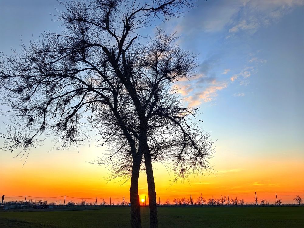 Photograph by OLGA MIKHNEVICH