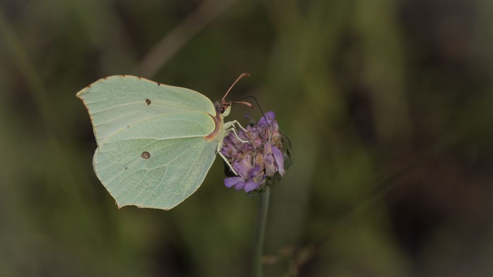 Photograph by Бравичева Анастасия