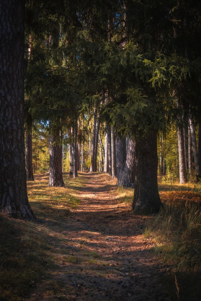 Photograph by Бравичева Анастасия
