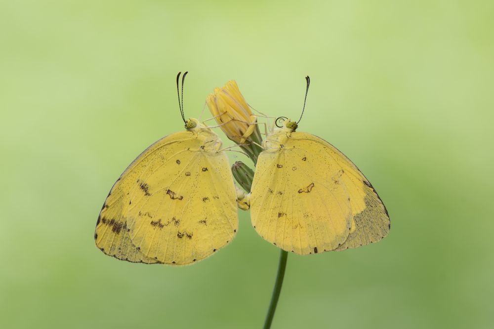 Photograph by ARUNAVA DEY