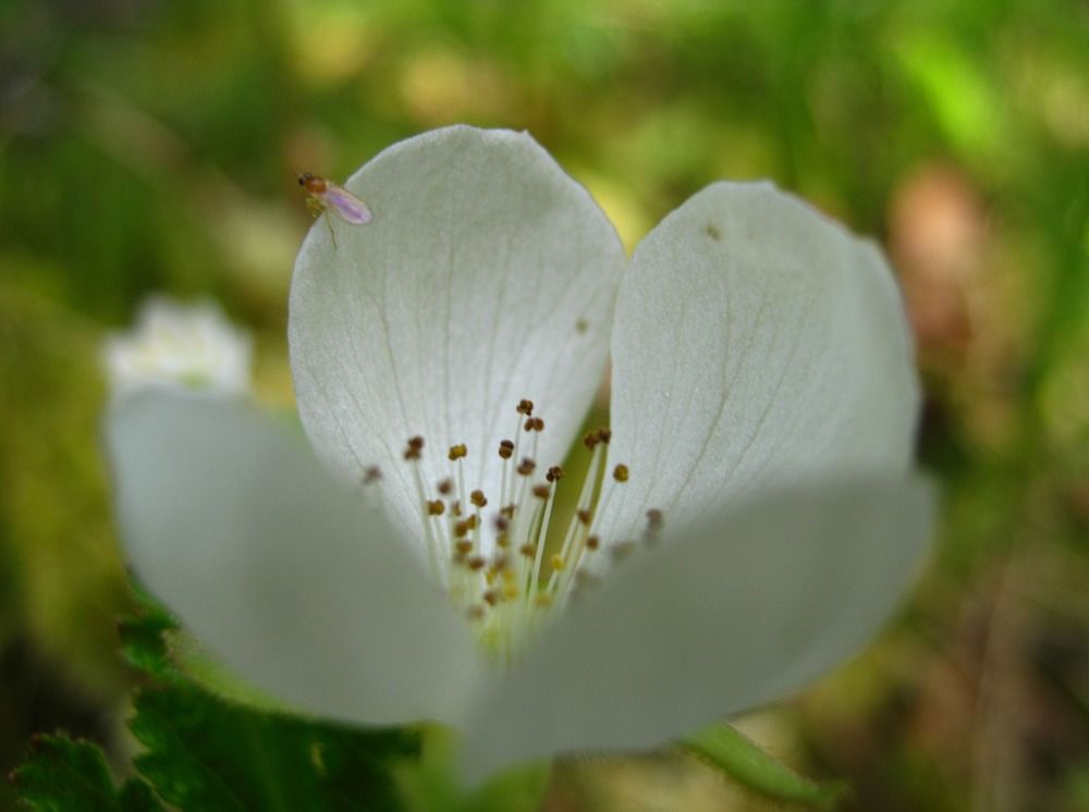 Фотография автора геннадий лалаев