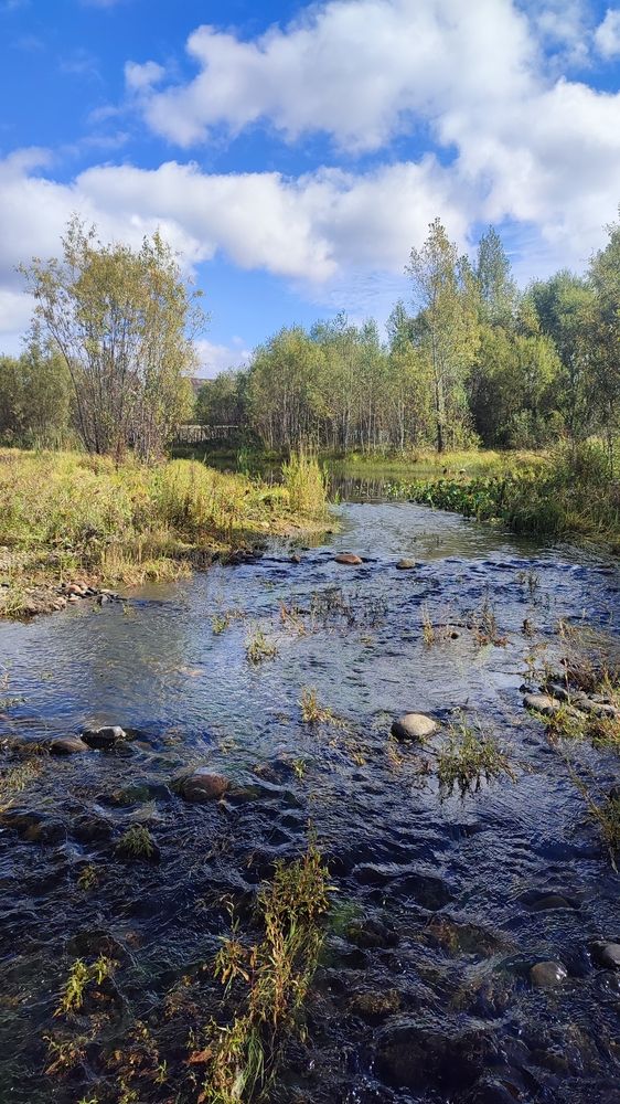Photograph by Полина Скурская