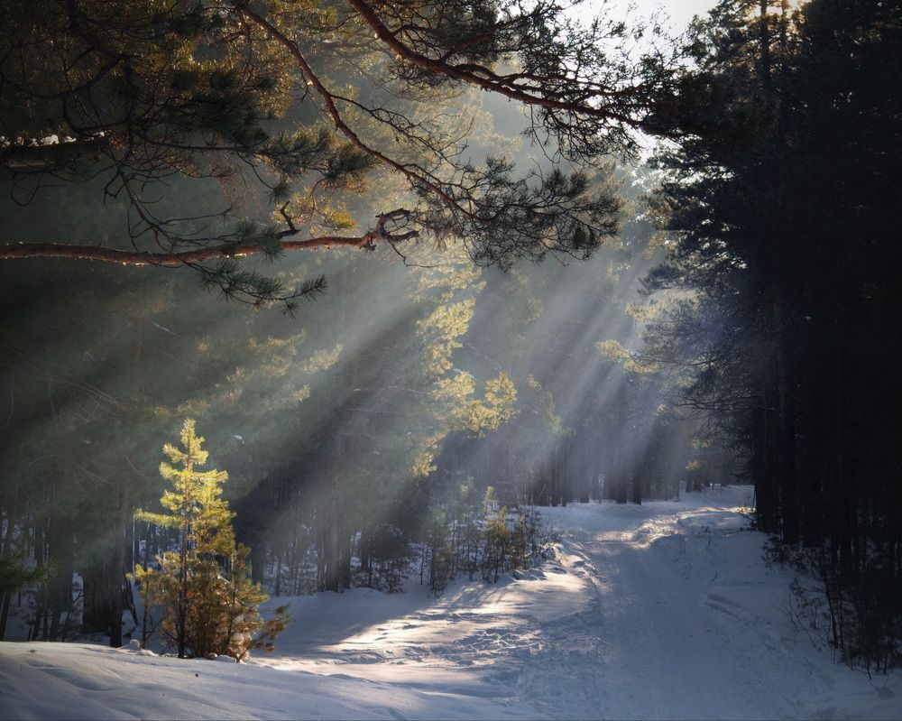 Photograph by Кузнецов Дмитрий