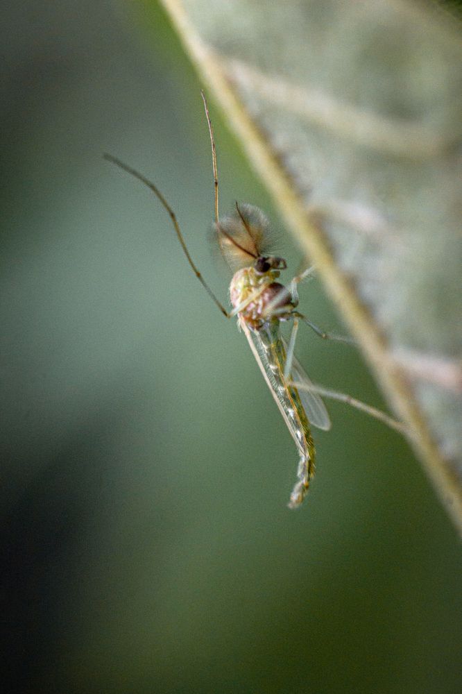 Photograph by Дарья Улюсова