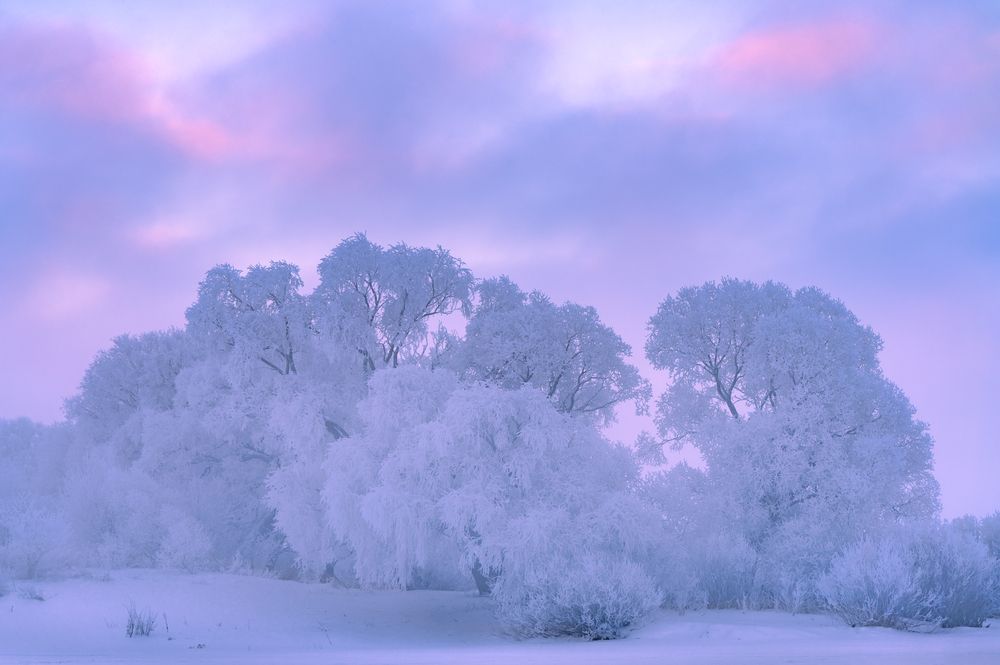 Photograph by Роман Фабричный