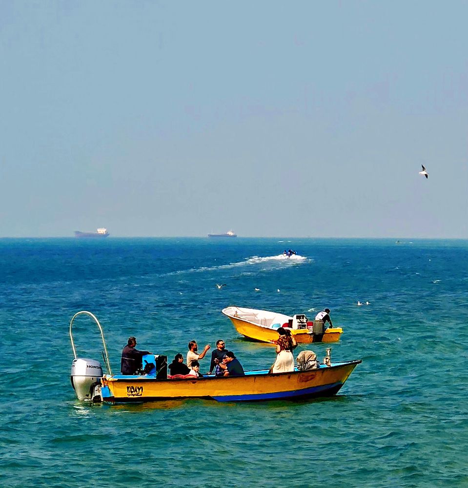 Фотография автора behrooz roosta