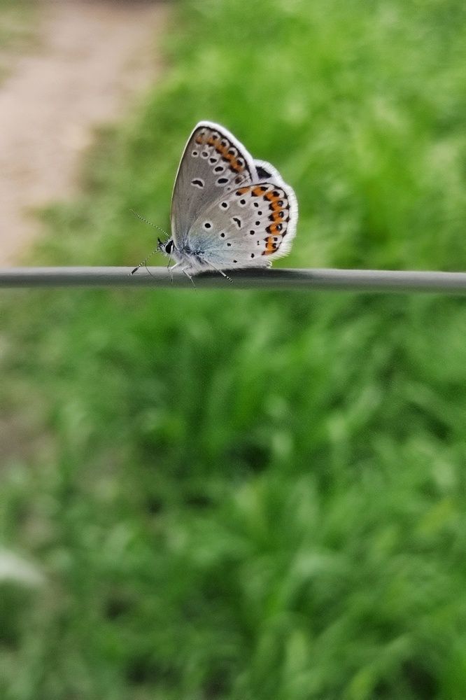 Photograph by Наталья Соловьева