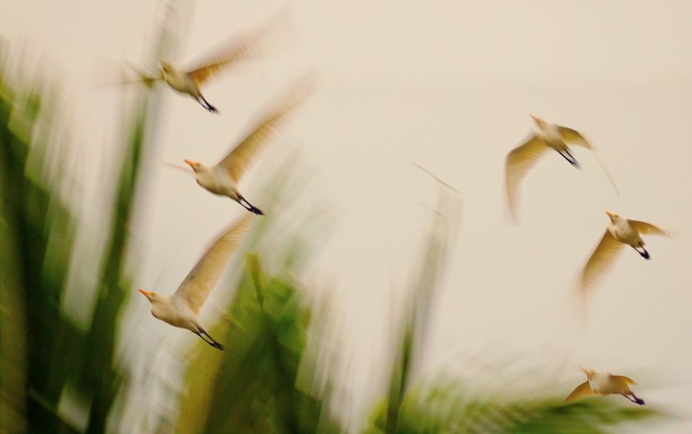 Photograph by Сергей Аллагулов