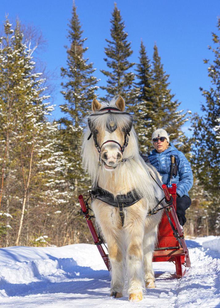 Фотография автора Clement Roy