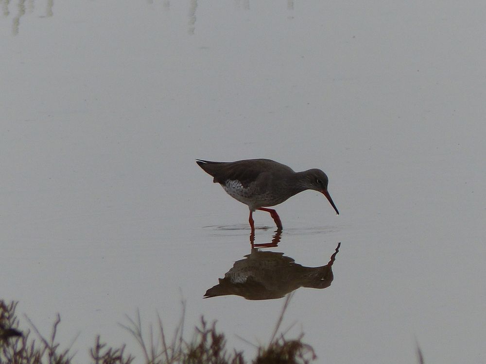 Photograph by Isabella Northrop