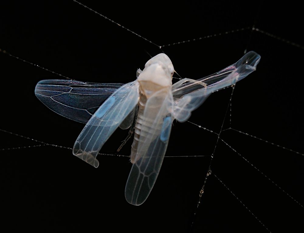 Photograph by Ирина Протченко