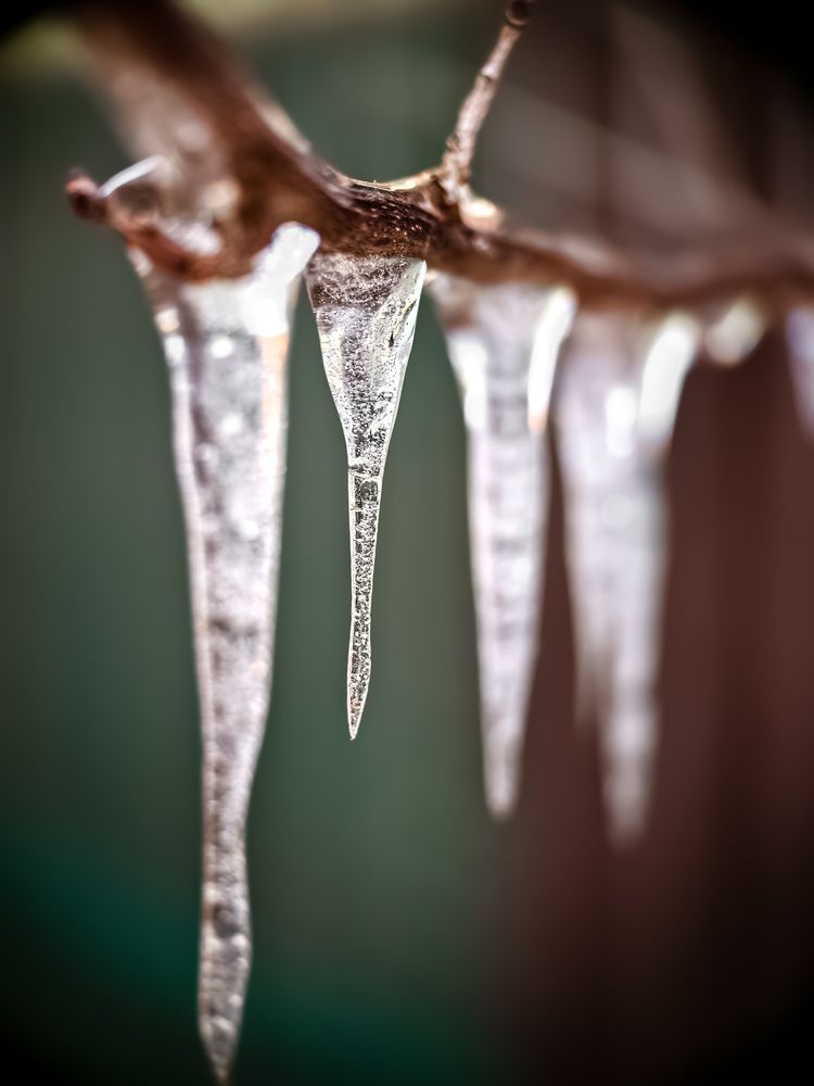Photograph by Былков Евгений