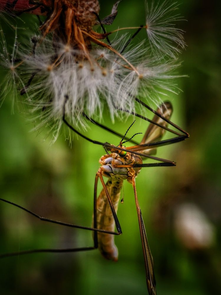 Photograph by Былков Евгений