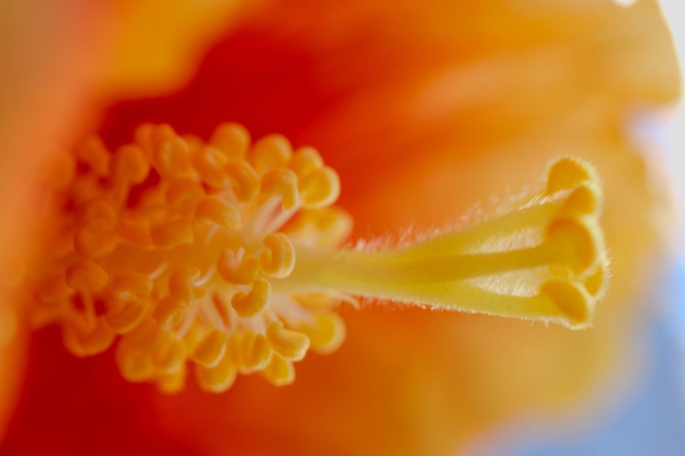 Photograph by JORGE DORANTES