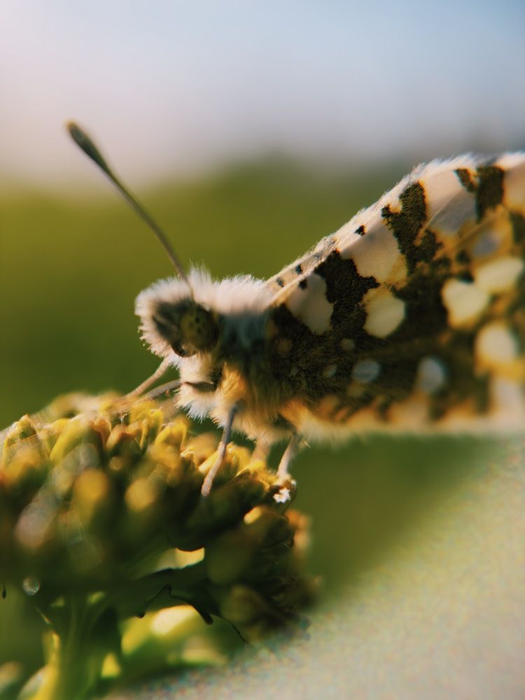 Photograph by Алёна Петрова