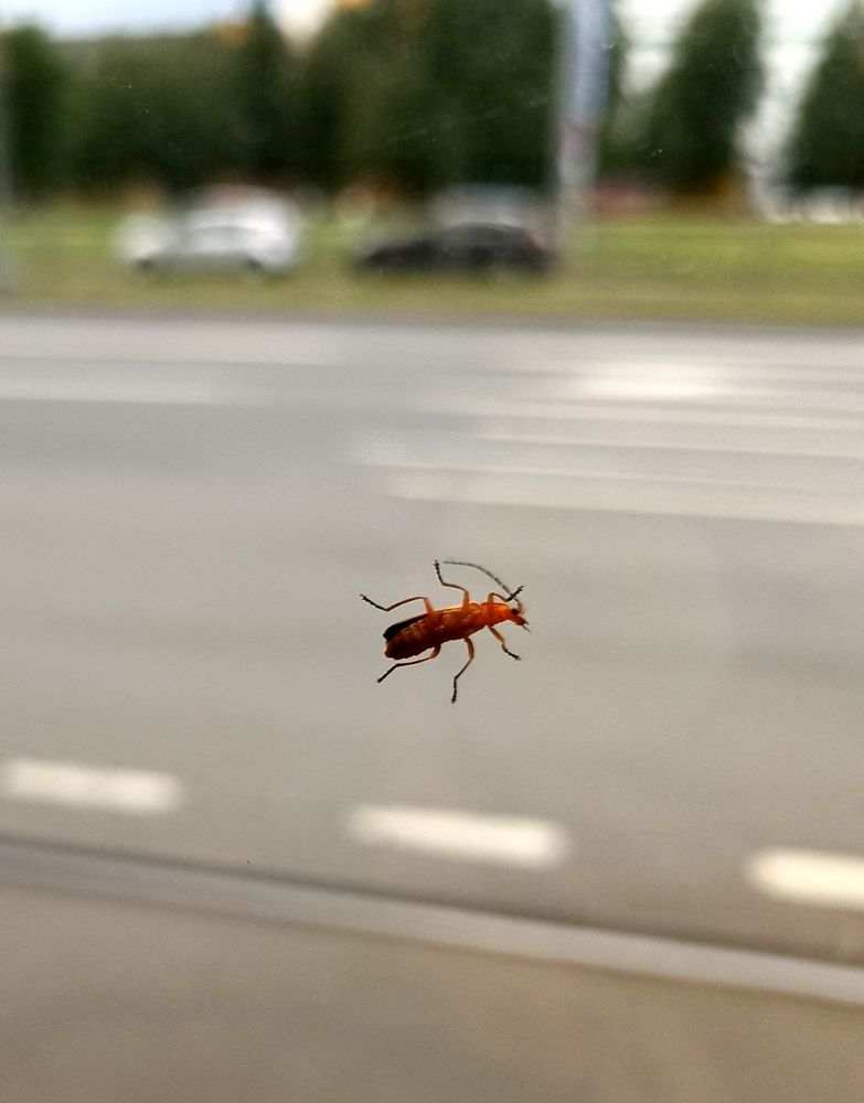 Photograph by Татьяна Смирнова