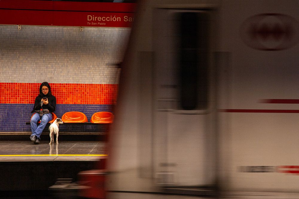 EL VIAJE: UNA TRAVESÍA SUBTERRÁNEA