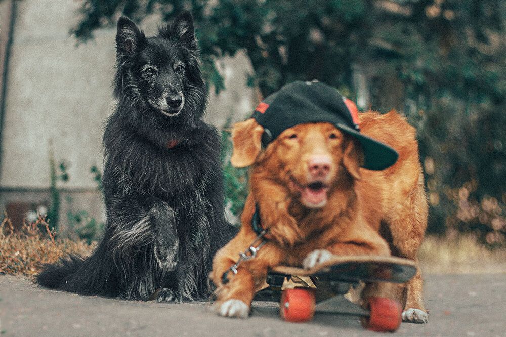 Photograph by Nata-Tigra Kalashnikova